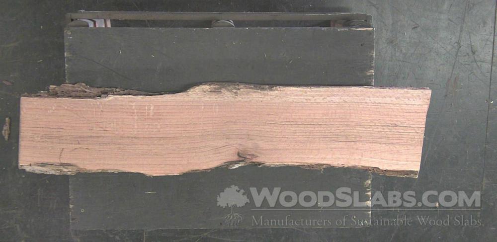 Laurel Oak Wood Slab #V6M-E8O-6N4Z