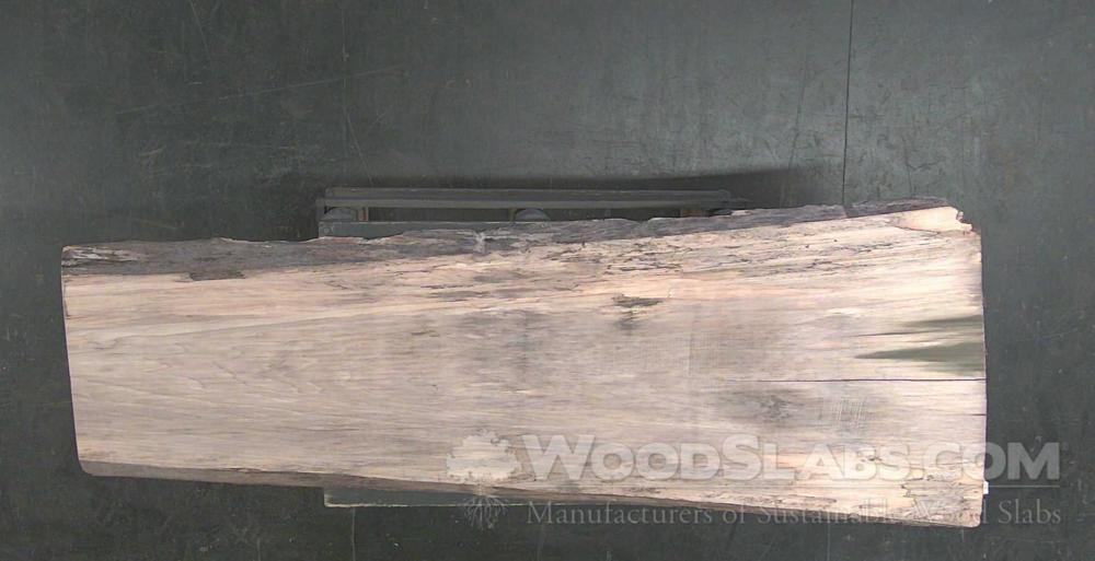 Rainbow Poplar Wood Slab #PZ2-QK2-Z2QK