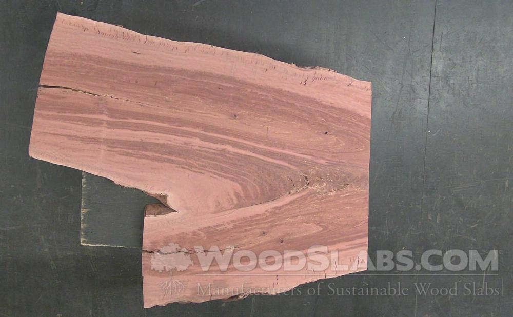 Eucalyptus Wood Slab #2Q0-EFC-R3CB