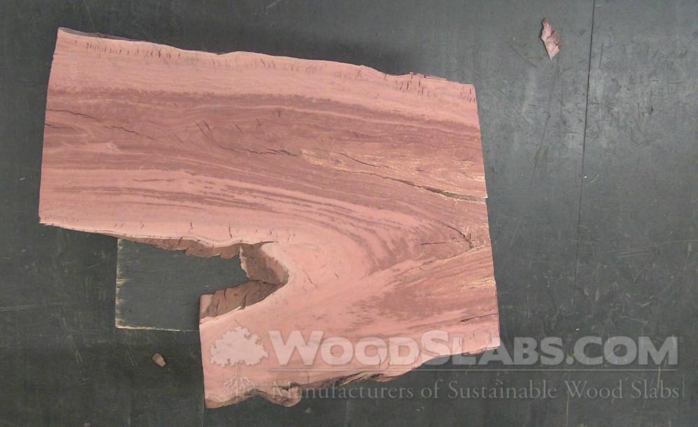 Eucalyptus Wood Slab #I55-DJZ-5PIO