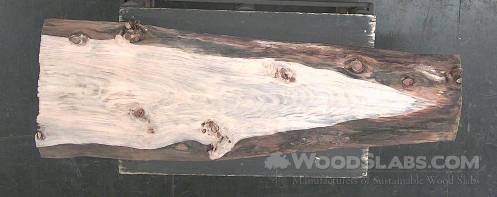 Norfolk Island Pine Wood Slab #ZGQ-TB0-7ROQ