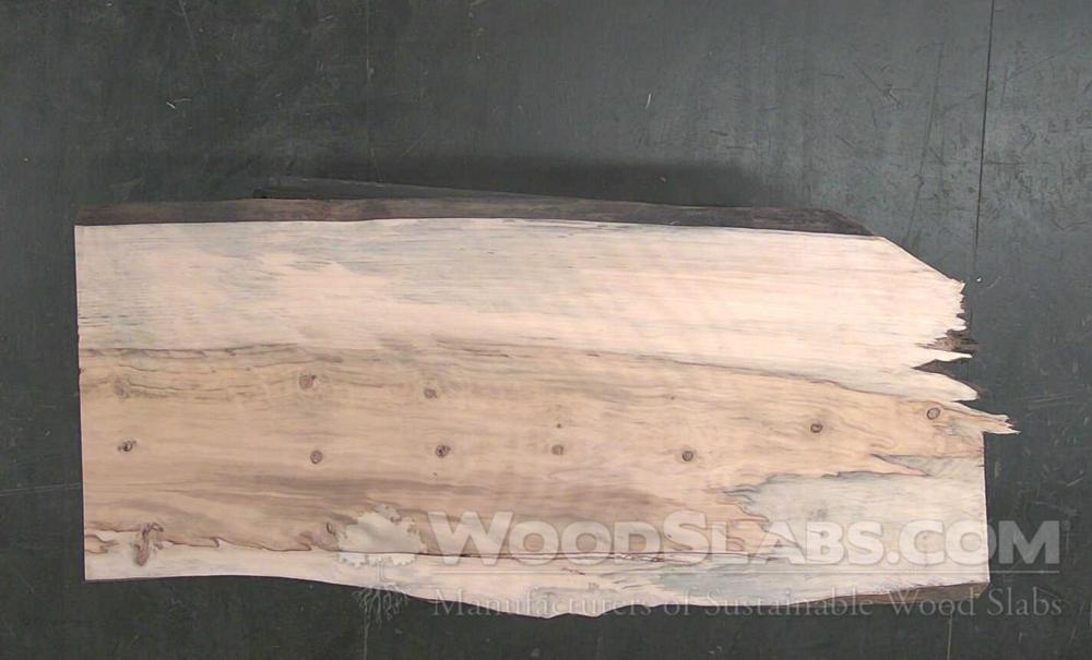 Norfolk Island Pine Wood Slab #HV5-1DJ-01K6