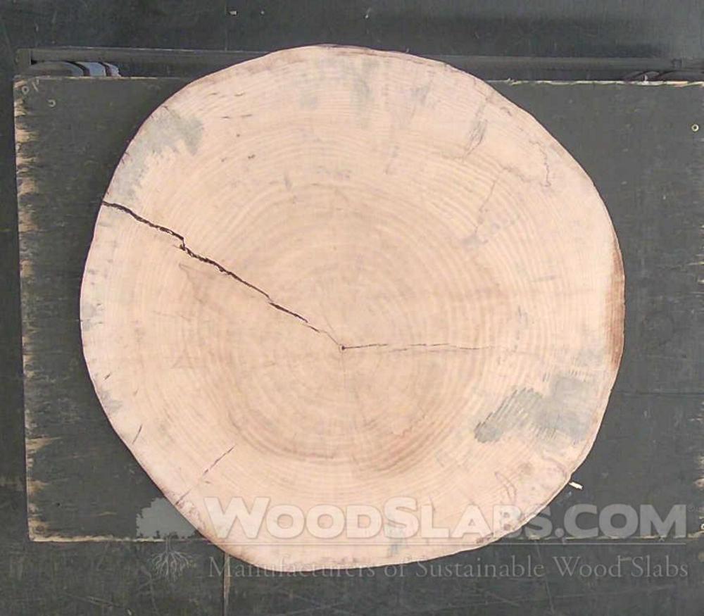 Norfolk Island Pine Wood Slab #4TN-VC2-DLP7