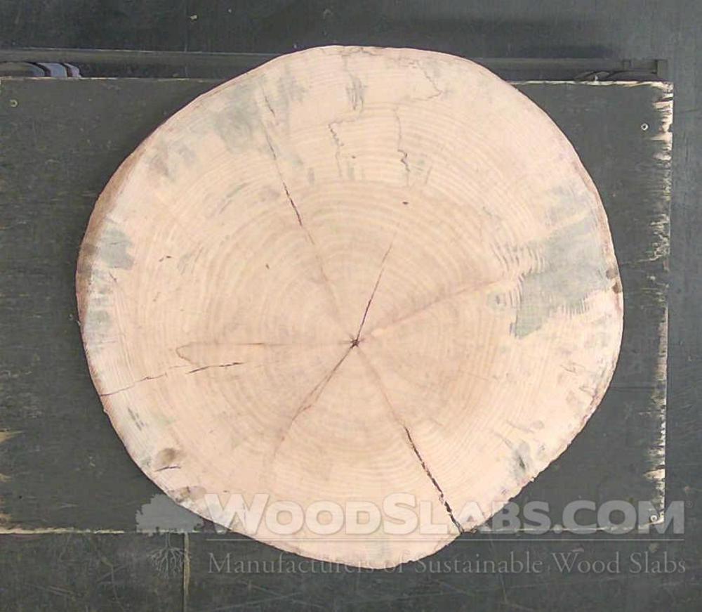 Norfolk Island Pine Wood Slab #2X8-3CE-BS9I