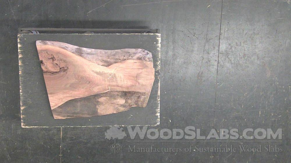 Walnut Wood Slab #5IF-CJU-83LI