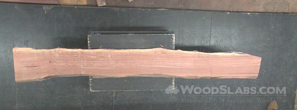 Cumaru Wood Slab #PPG-M98-XVG8