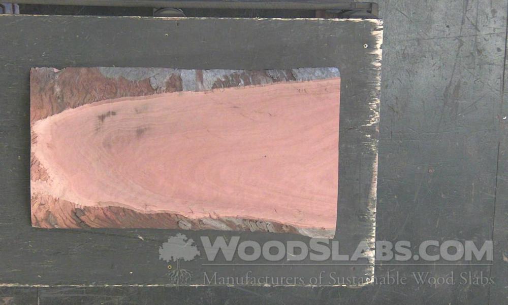 Eucalyptus Wood Slab #HX2-M77-486W
