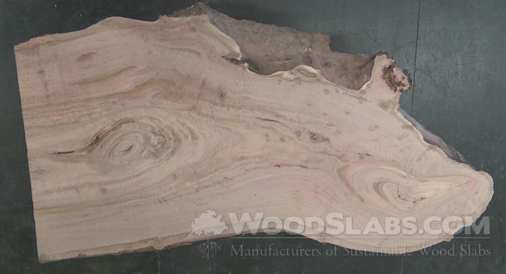 Eucalyptus Wood Slab #Z65-NKP-SZV0