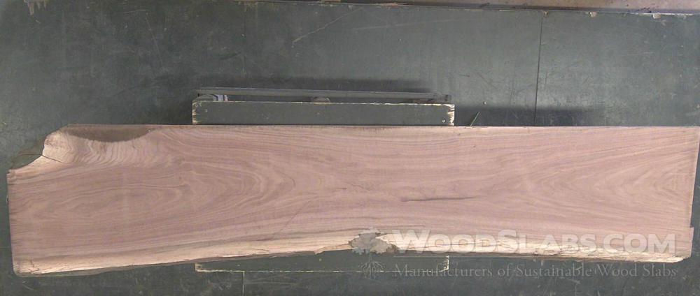 Walnut Wood Slab #1MK-UA8-PZBE
