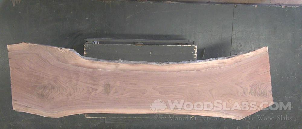 Walnut Wood Slab #4GS-4WR-D11D