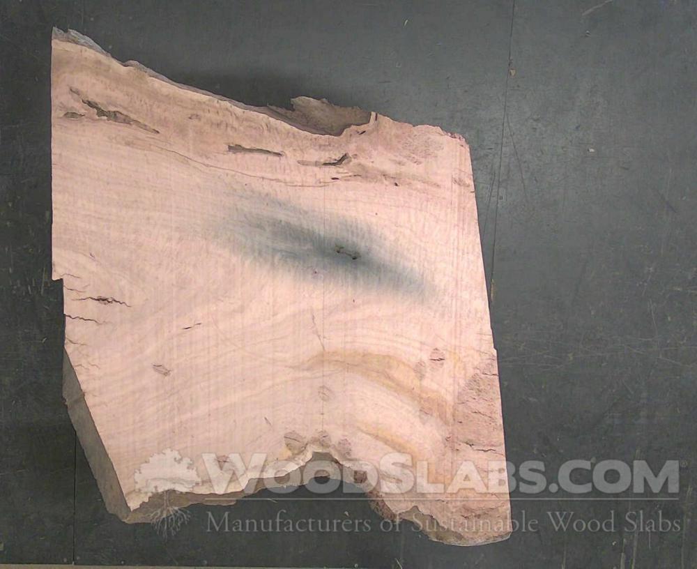 Eucalyptus Wood Slab #9E1-7YZ-WYJ4