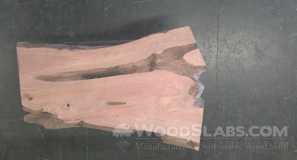 Eucalyptus Wood Slab #1HP-39X-SK7K
