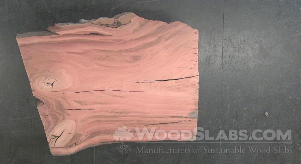Eucalyptus Wood Slab #F33-SN4-UUXX