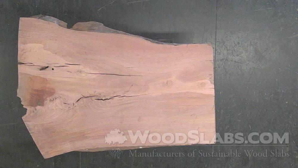 Eucalyptus Wood Slab #NV1-UU1-PM39