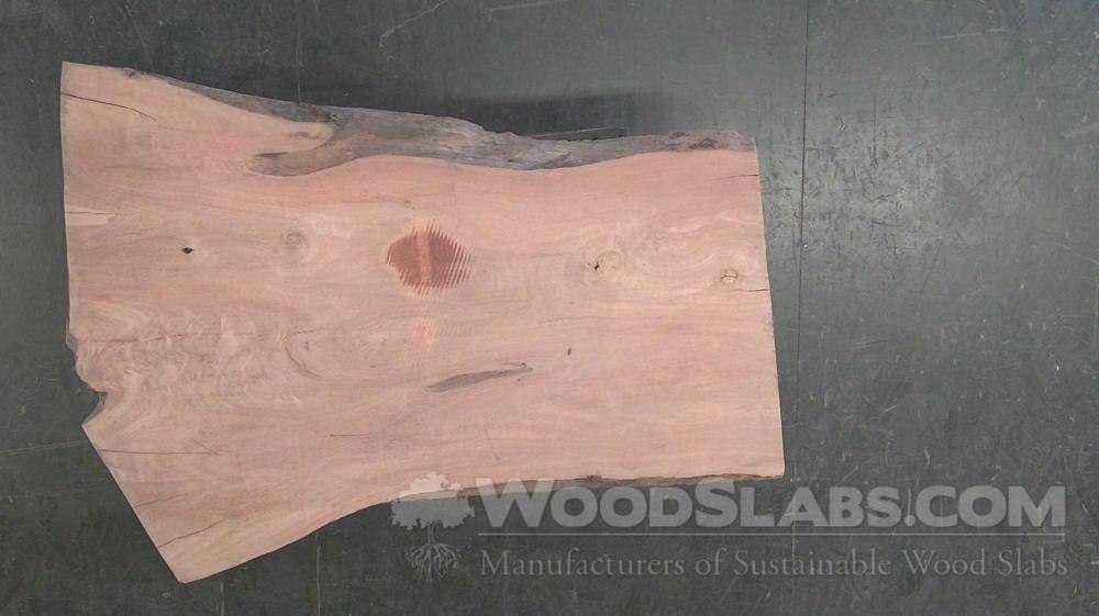 Eucalyptus Wood Slab #8N8-NQS-08D7