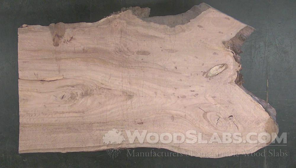 Eucalyptus Wood Slab #CY3-FMK-LHQD