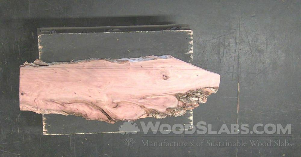 Melaleuca Wood Slab #JC0-W0G-WB6C