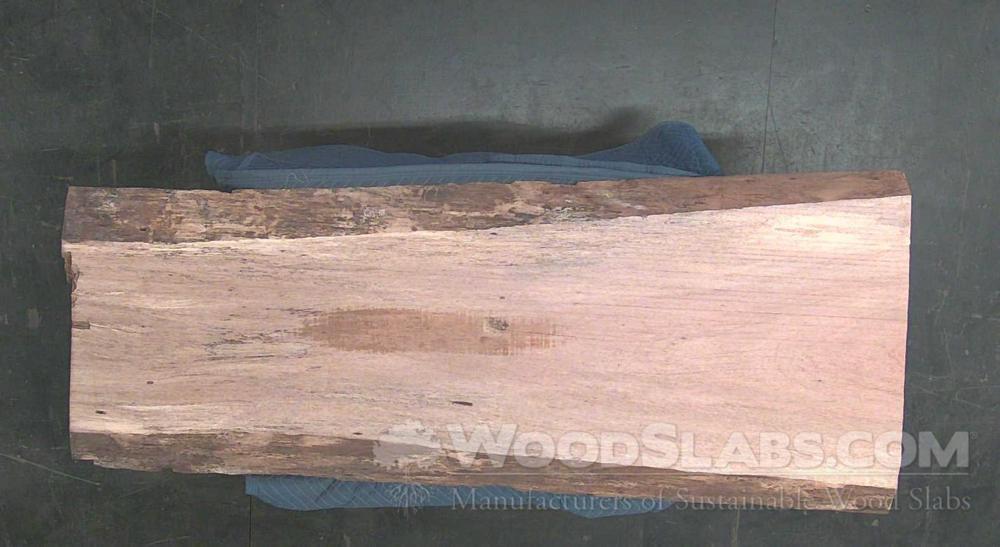 Brazilian Cherry Wood Slab #TD7-7V0-22VK