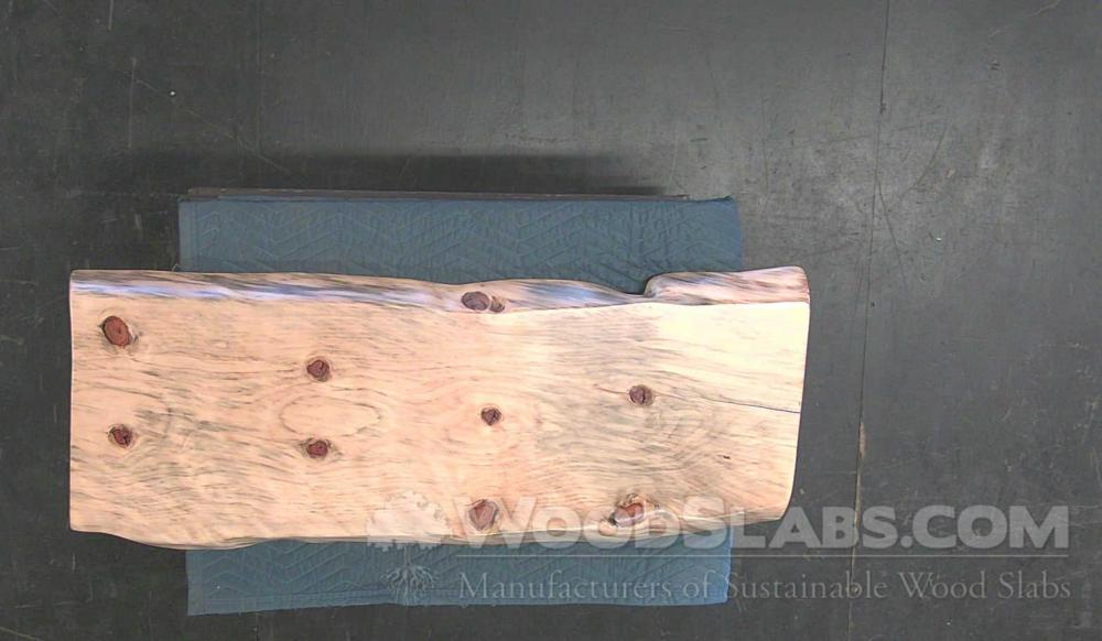 Norfolk Island Pine Wood Slab #25N-0Q2-OPC4