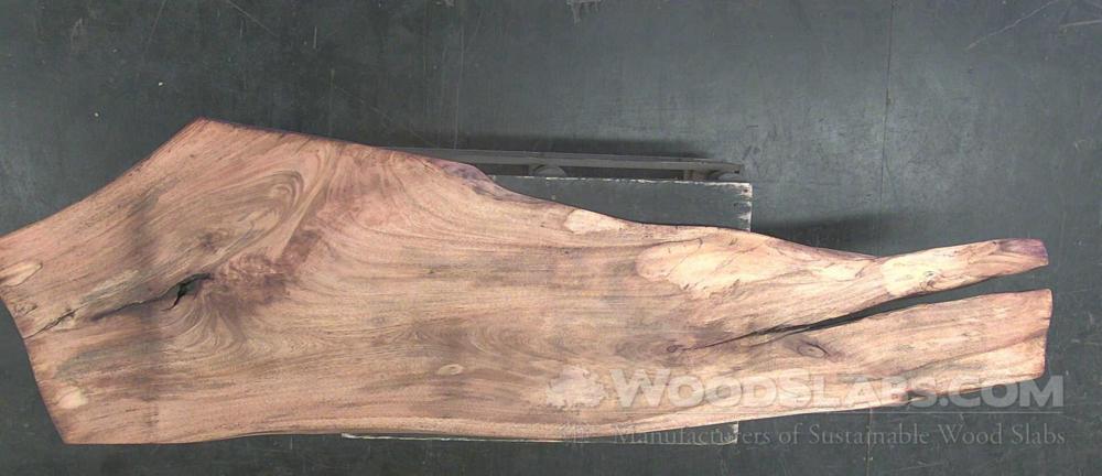 Pecan Wood Slab #RLC-O8S-VJ2C
