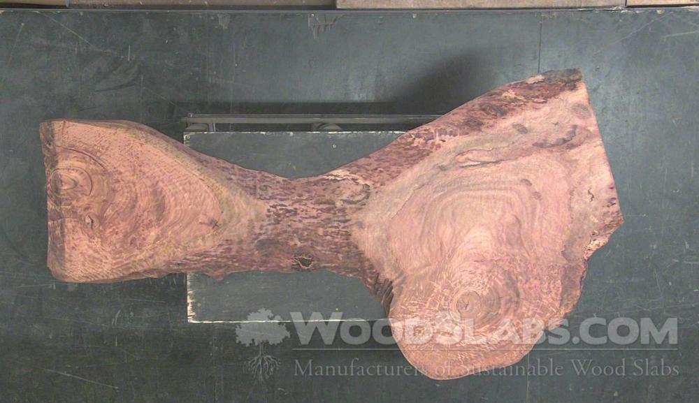 Eucalyptus Wood Slab #RZ6-1VW-BPC2