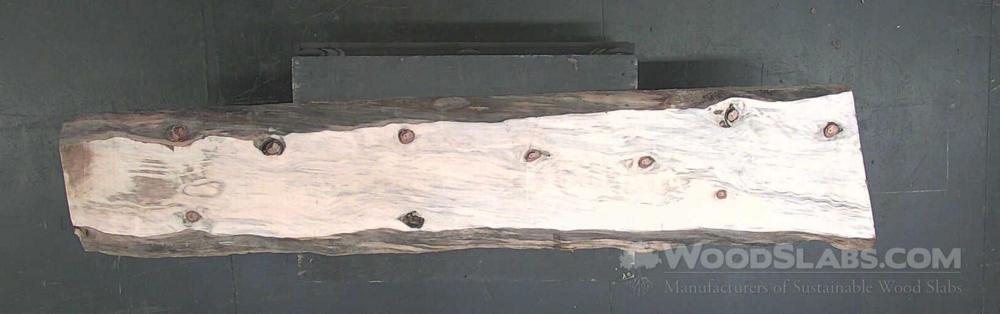 Norfolk Island Pine Wood Slab #9NL-HL9-QOCS