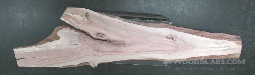 River Birch Wood Slab #NLT-5D3-ZU41