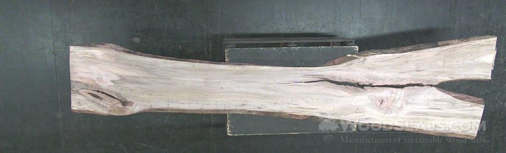 Black Maple Wood Slab #3LX-JAW-U2WQ