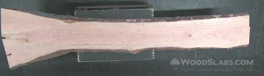 Black "curly" Cherry Wood Slab #QQL-LUW-VR2Z