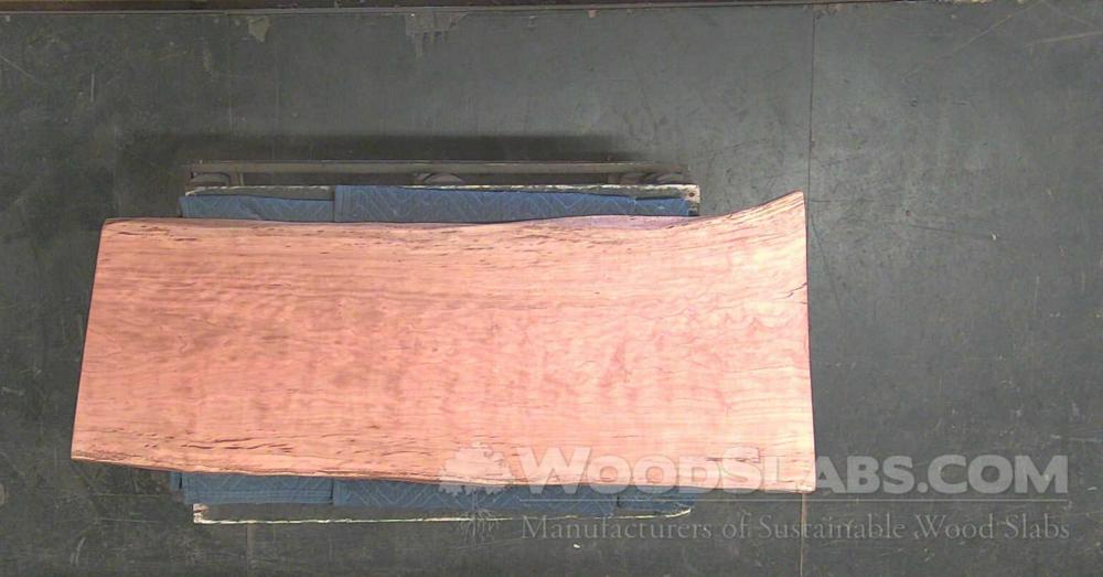 Black Cherry Wood Slab #OIZ-NFH-0896