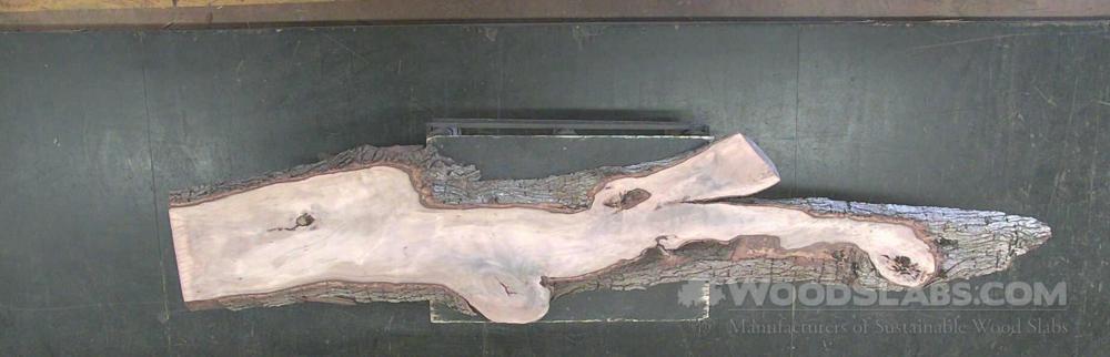 Tree of Heaven Wood Slab #UDT-IYG-4DCN