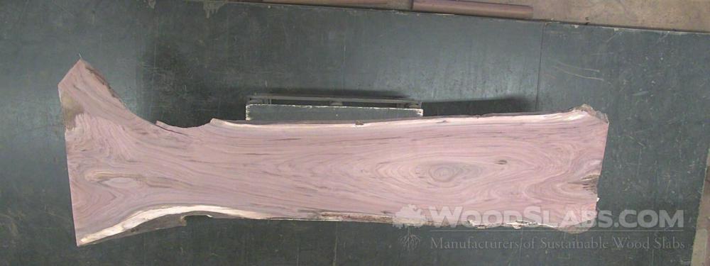 Walnut Wood Slab #DLF-XW7-U6M1
