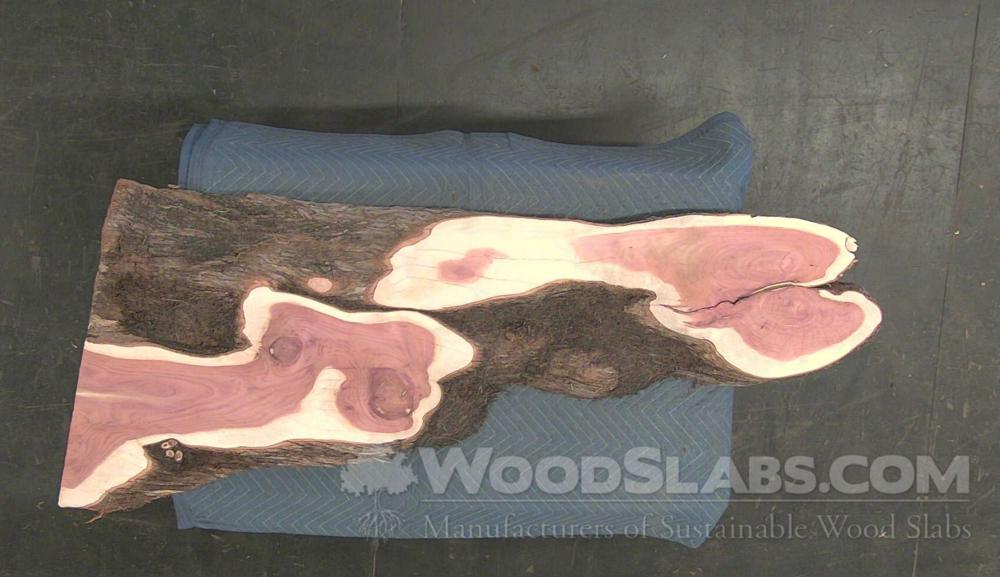 Aromatic Cedar Wood Slab #X8L-4VT-ZPTE