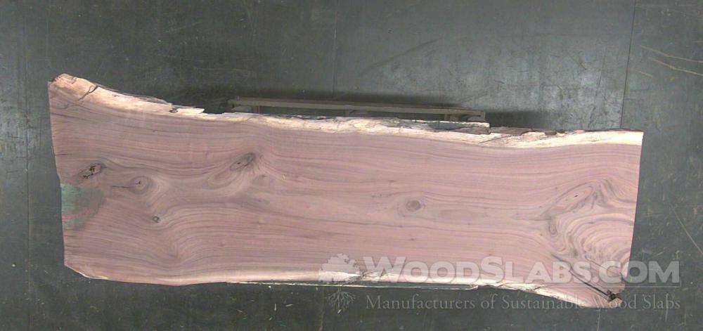 Walnut Wood Slab #SLD-9T0-03YO