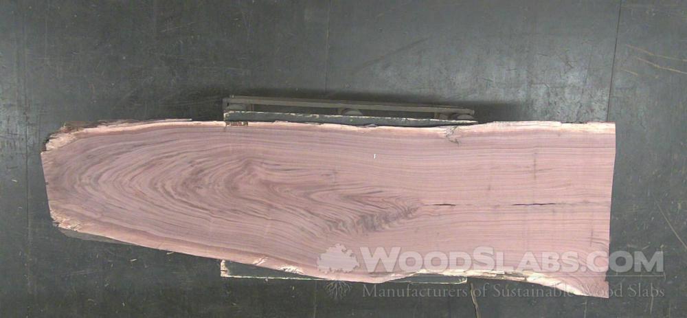 Walnut Wood Slab #51C-OA2-RUW0