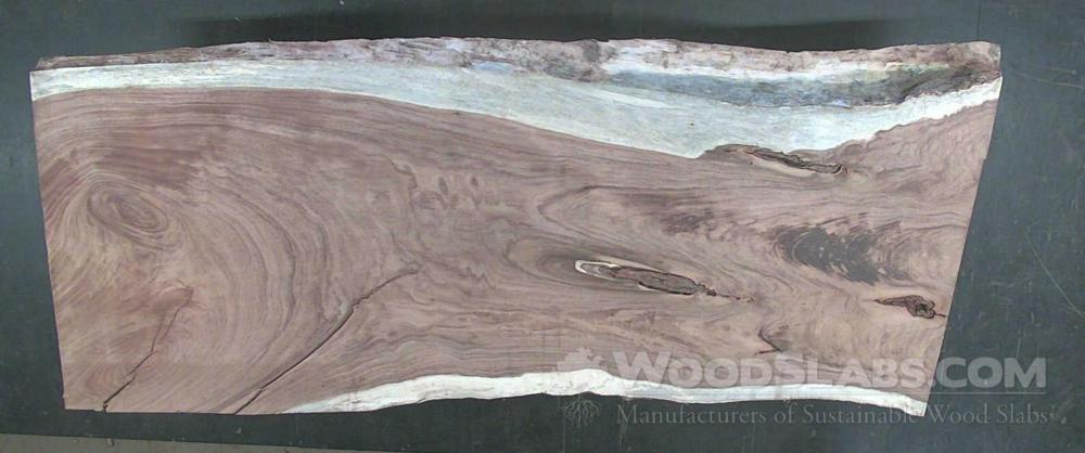Parota Wood Slab #XTM-CQ4-C7KT