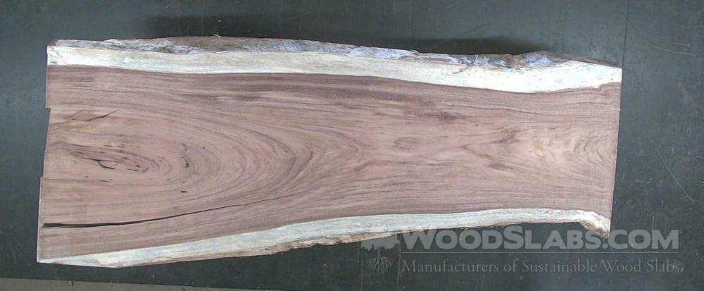 Parota Wood Slab #NDT-XYD-W4HG