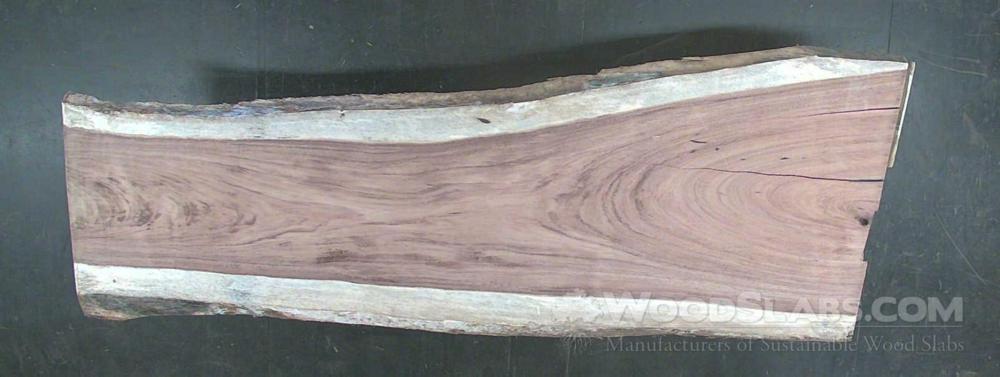 Parota Wood Slab #4TL-YWA-OZ1T