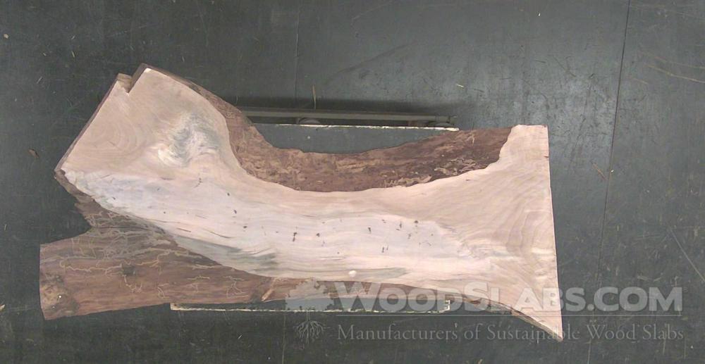 Hickory Wood Slab #UW0-NAO-KBZX