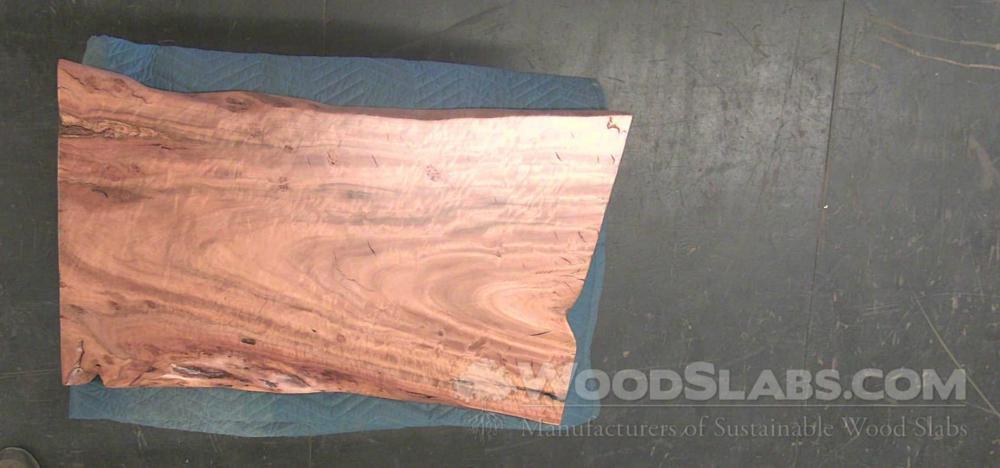 Eucalyptus Wood Slab #GJZ-CH9-YPH4