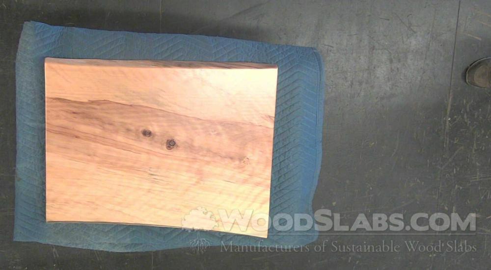 Norfolk Island Pine Wood Slab #I7G-FKY-AA50