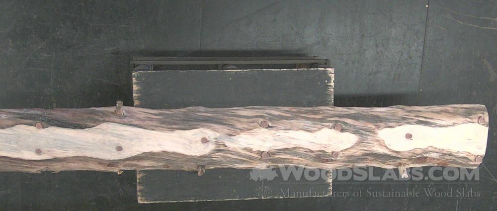 Norfolk Island Pine Wood Slab #D4P-J8R-EMFC