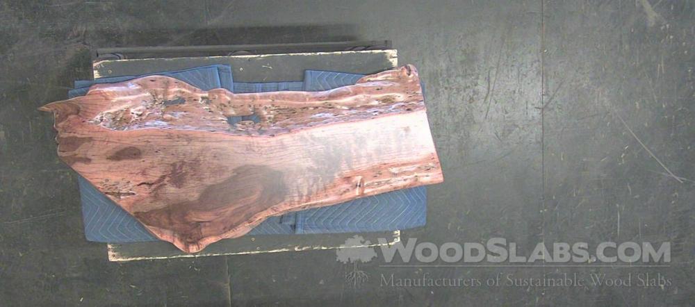 Australian Beefwood Wood Slab #FKI-I82-7YV1