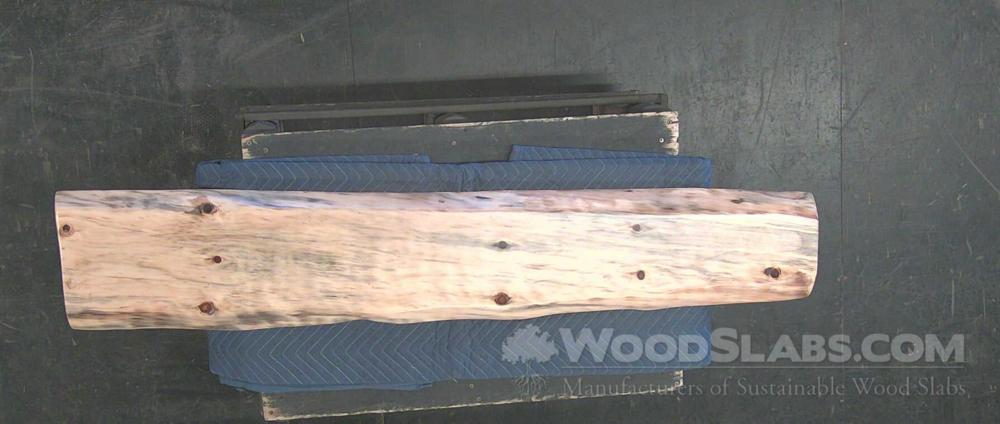 Norfolk Island Pine Wood Slab #PEG-LDD-Q6KX