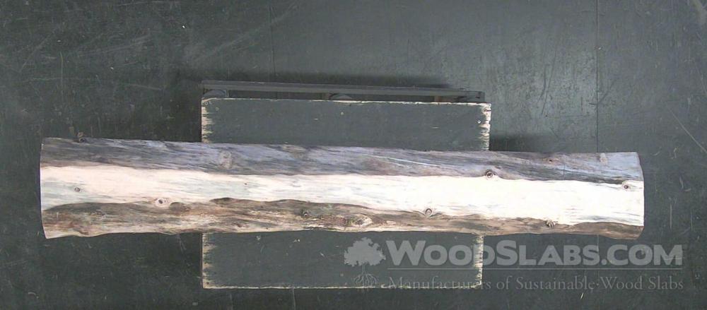 Norfolk Island Pine Wood Slab #CKU-KBD-LKK4