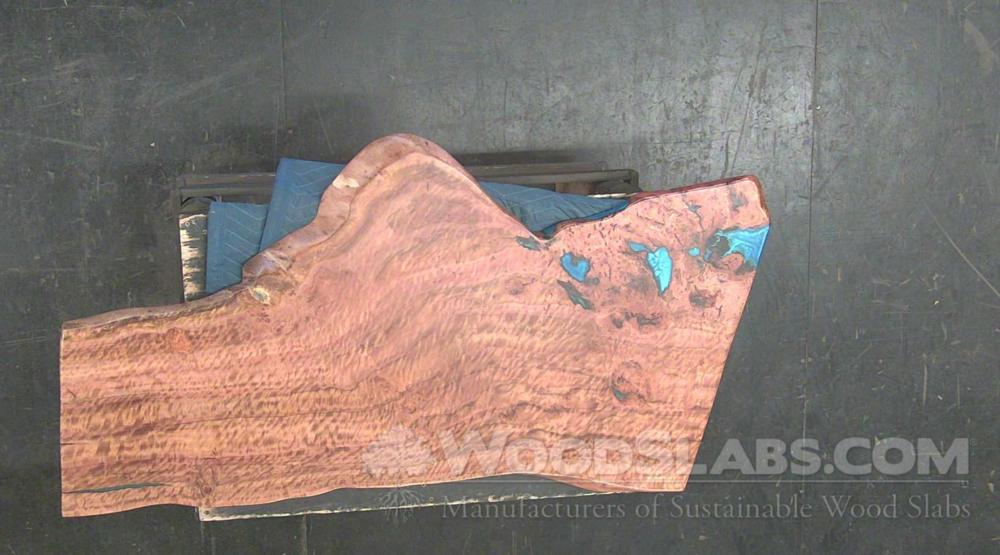 Eucalyptus Wood Slab #YBW-GIS-ZRP8