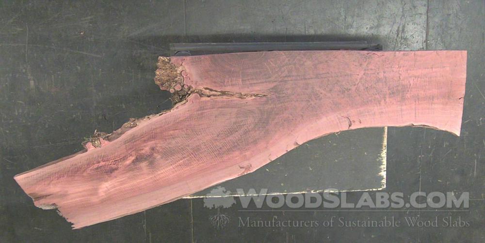 Eucalyptus Wood Slab #DB6-M1S-UTL5