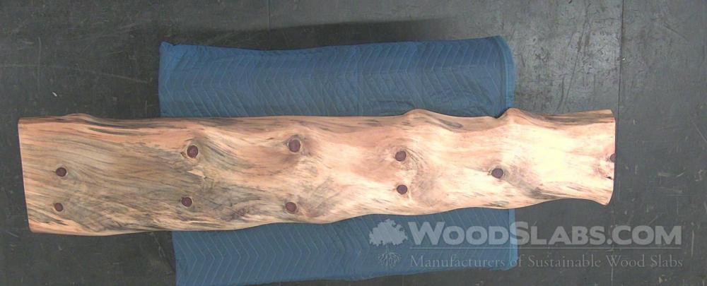 Norfolk Island Pine Wood Slab #O6L-A3M-XM0Q