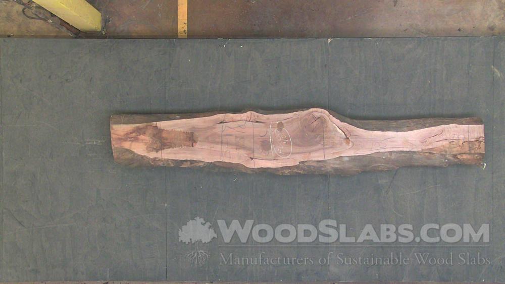 Eucalyptus Wood Slab #YYG-C01-Z1SV