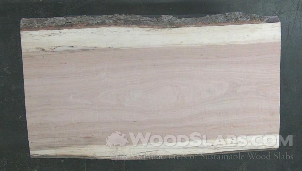 Pecan Wood Slab #UON-7AG-47PN